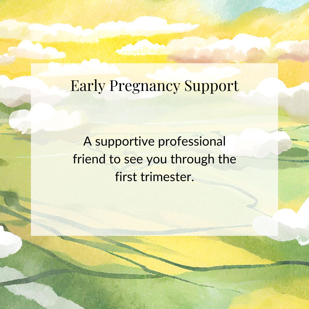 Early Pregnancy Support