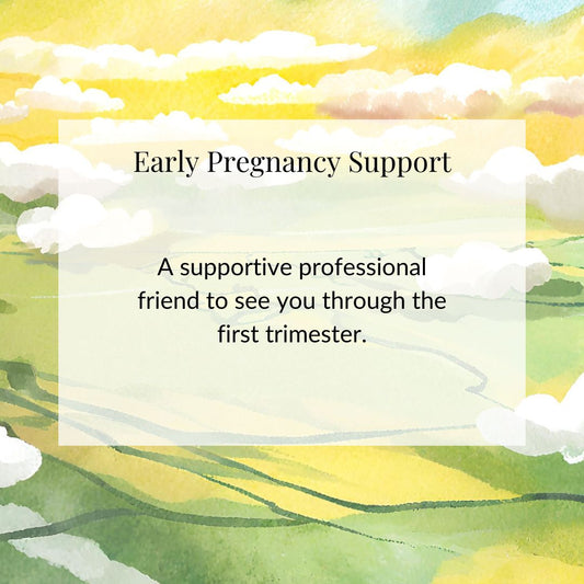 Early Pregnancy Support